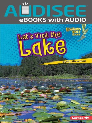 cover image of Let's Visit the Lake